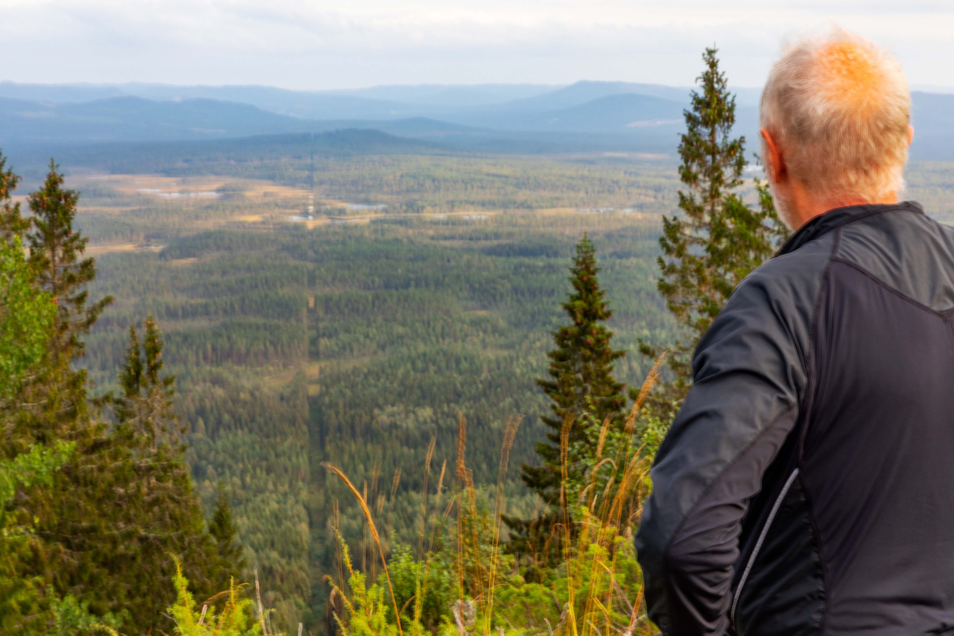 Her står jeg på Juvberget og skuer utover det landskap som mine forfedre og formødre var en del av. Her jobbet og bodde både min morfars og mormors slekt i generasjoner. Mennene jobbet  på skauen som tømmerhoggere om vinteren. "Gutta fra Sønsterud" og "deres menn" hadde nok mang en tur i disse traktene for å kjøpe skog og gjøre en god handel.