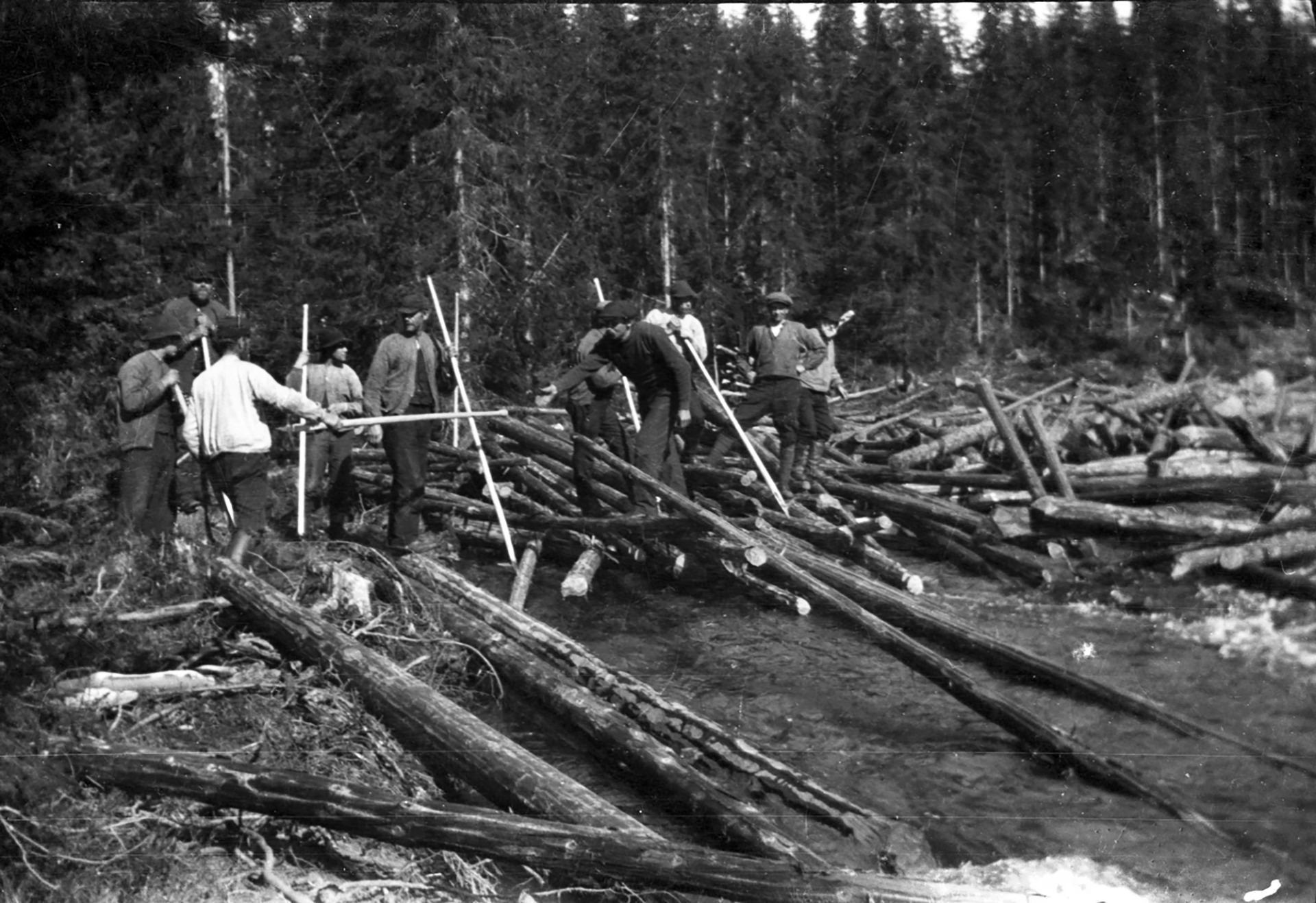 Tømmerfløting i Rena-elva