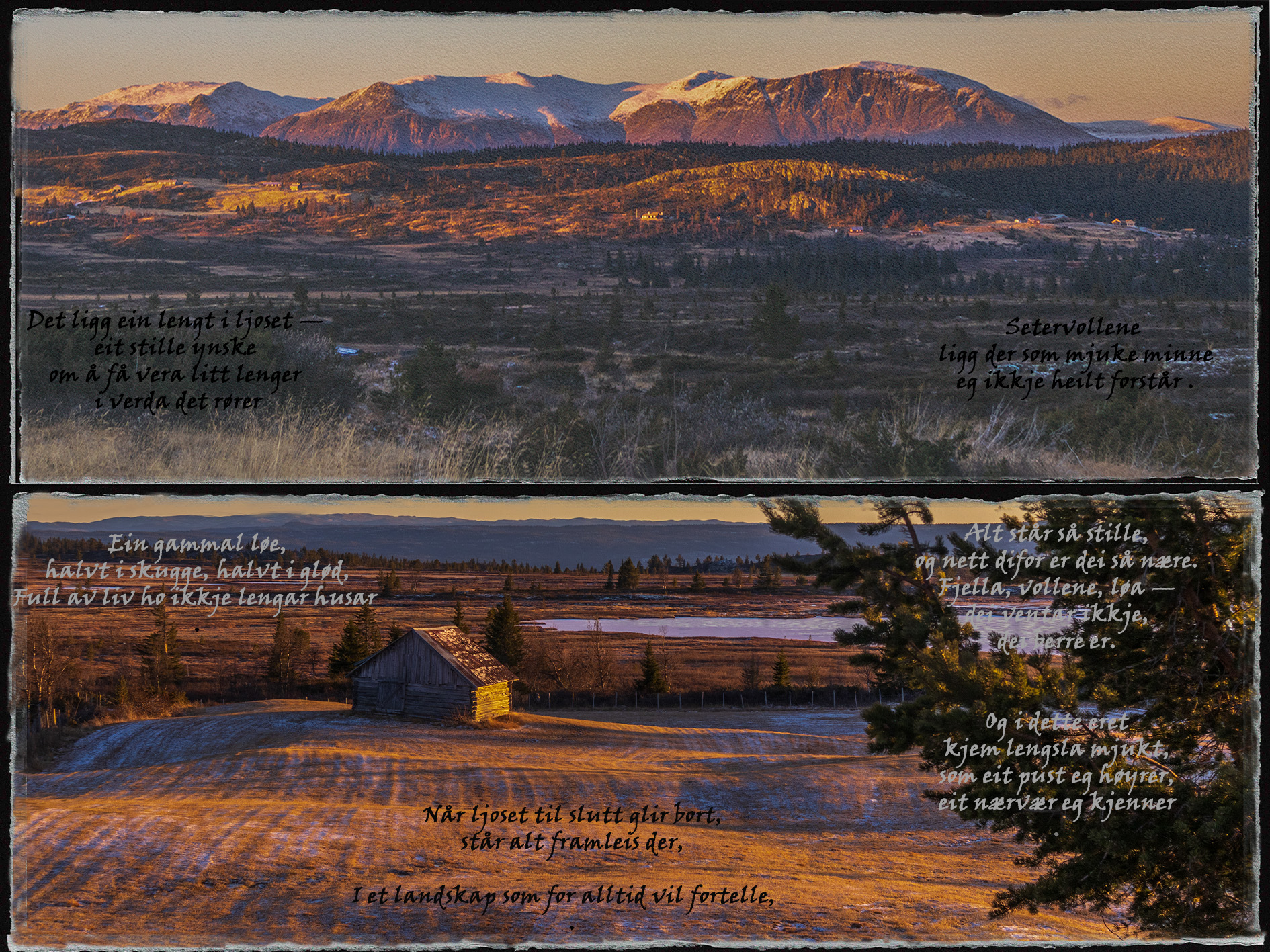 en fredag ettermiddag i november