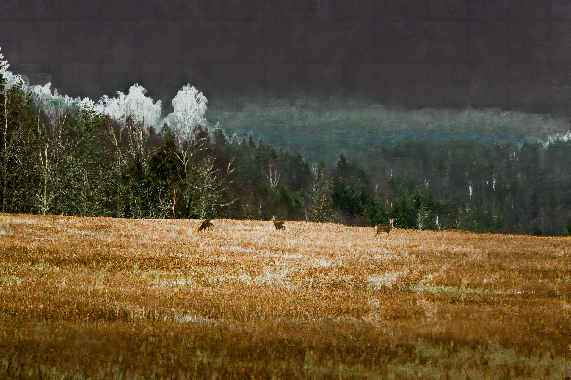 Den iskalde vinden kommer fra øst. (Fra prosjektet Dystopiske stemninger)