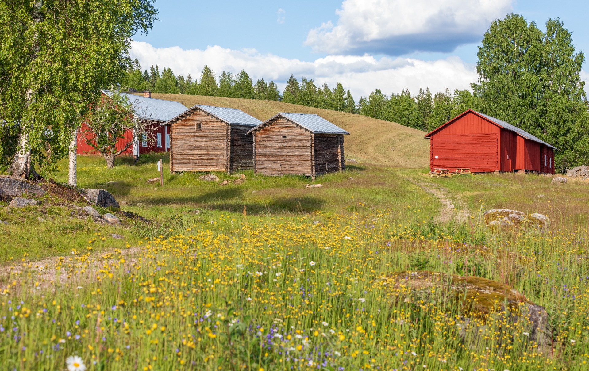 Juhola. Gården ble ryddet i 1740 av Johan (Juho) Eriksson Oinoinen. Juhola er en av Sveriges største finngårder. På midten av 1800 tallet var det 13 ulike bygninger på gården. Røykstua er en av Sveriges største, og det ble snakket finsk på gården helt til 1930 tallet. Jussi Jonsson Oinoinen var siste bruker på gården. Han døde i 1939. Solør-Värmland Finnkulturforening